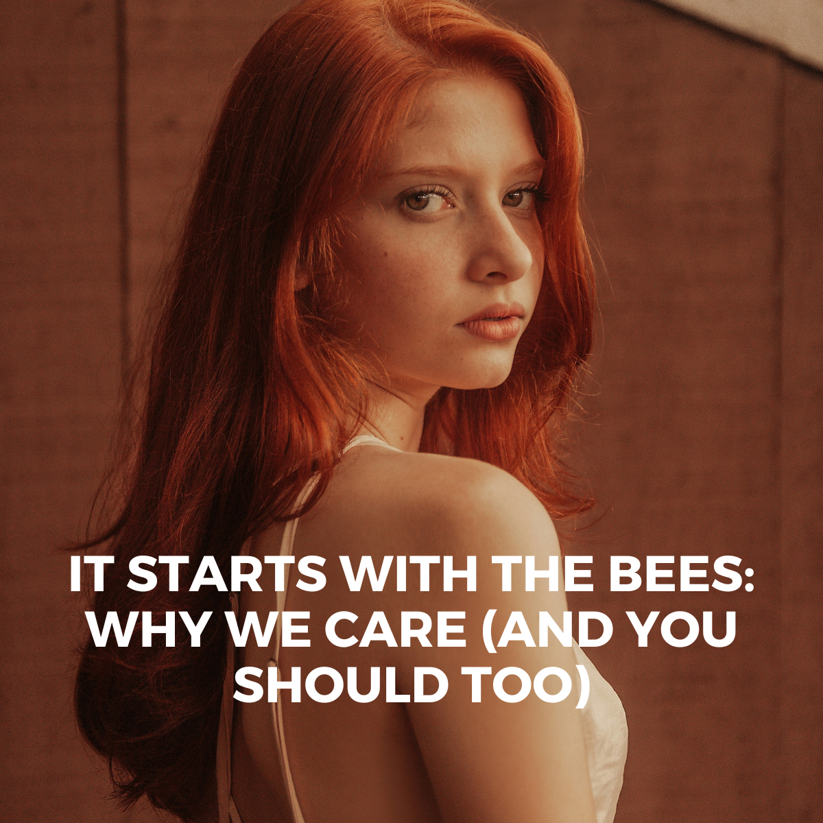 How Bees Are Connected to Your Beauty Routine The Quiet Link Between Natural Beauty and a Thriving Planet